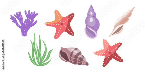 Sea shells vector set, mollusks, corals, algae, starfish. Flat illustration of various seashells on white background. Collection for stickers.