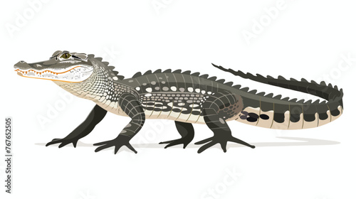 Beautiful Alligator flat vector isolated on white background