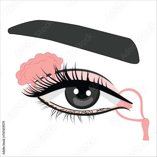 lacrimal gland eye illustration photo