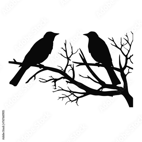 A birds sitting on top of a tree branch