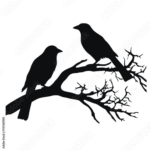 A birds sitting on top of a tree branch