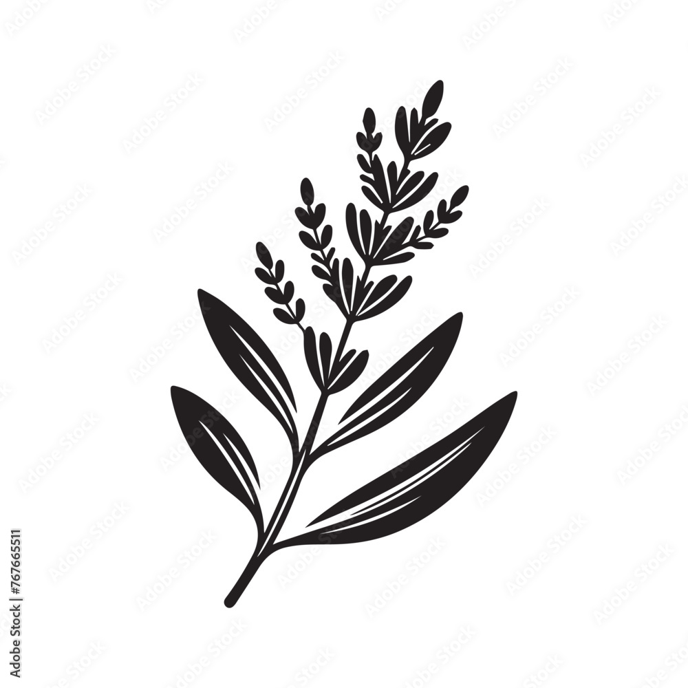 Tree Vector illustration in black and white - Plant Leaf Silhouette Design
Tree Vector illustration in black and white - Plant Leaf Silhouette Design