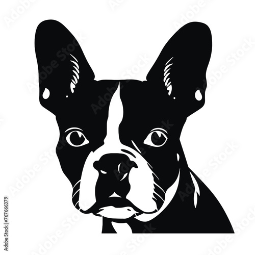 boston terrier Silhouette 