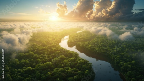 Aerial view of Amazon rainforest in Brazil  South America. Green forest. Bird s-eye view
