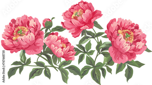 Peonies flat vector isolated on white background 