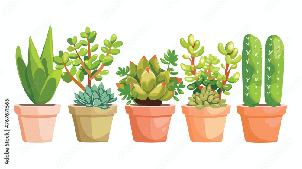 Potted Succulents Clipart flat vector