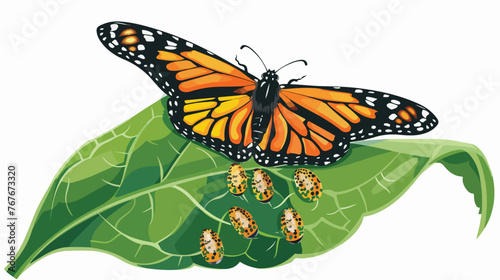 Realistic monarch butterfly life cycle stage with egg