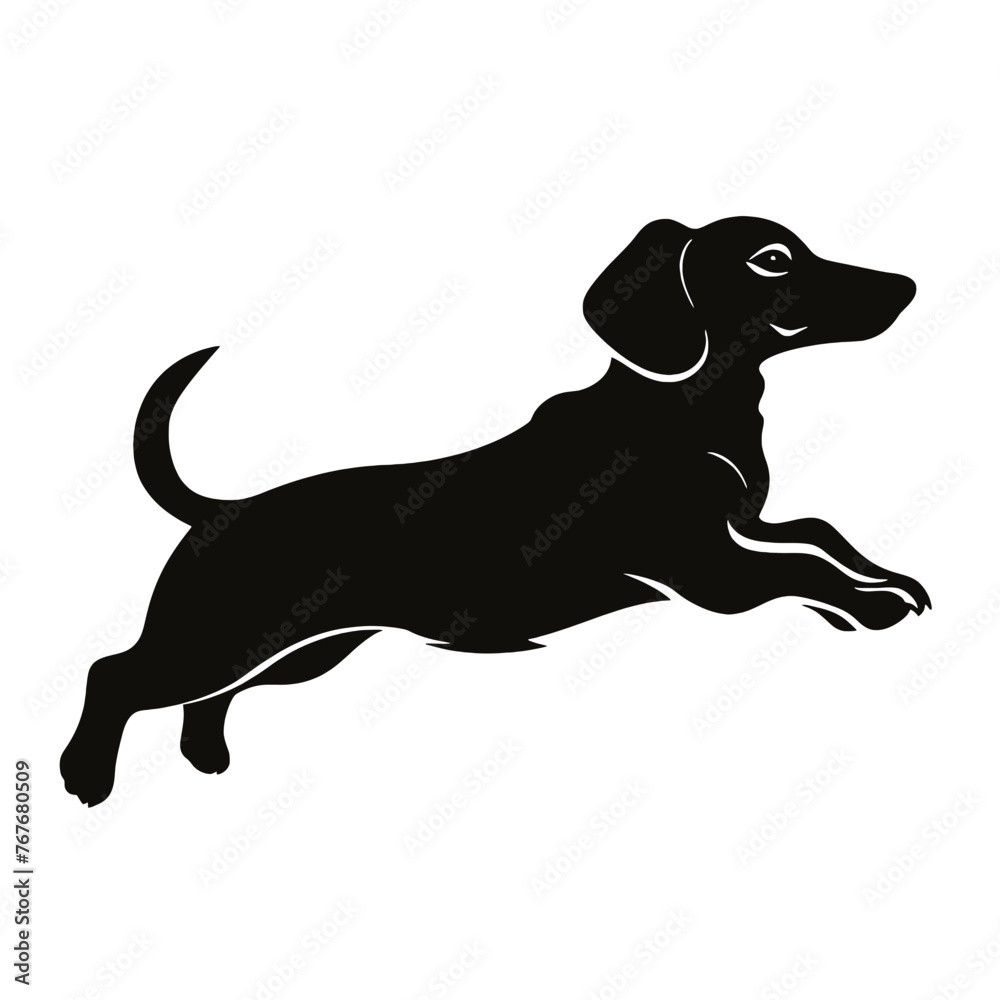 Dachshund dog. Vector black silhouette.