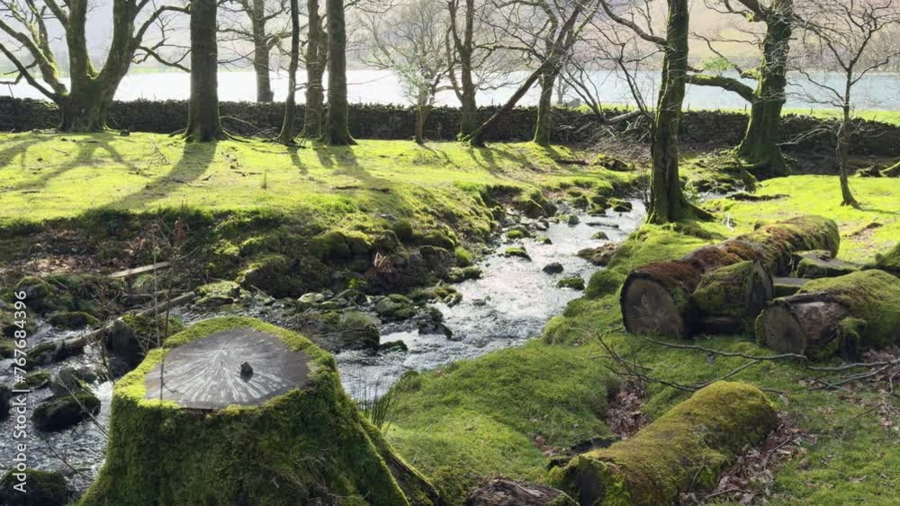 Spring sunshine in woodland at Hassness with a stream flowing under a footbridge into nearby Buttermere in the Lake District, Cumbria, England. Spring sunshine in woodland at Hassness with a stream flowing under a footbridge into nearby Buttermere in the Lake District, Cumbria, England.