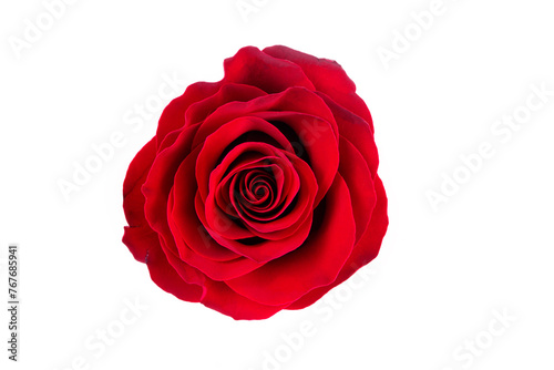 Close-up shot of layers of red rose petals