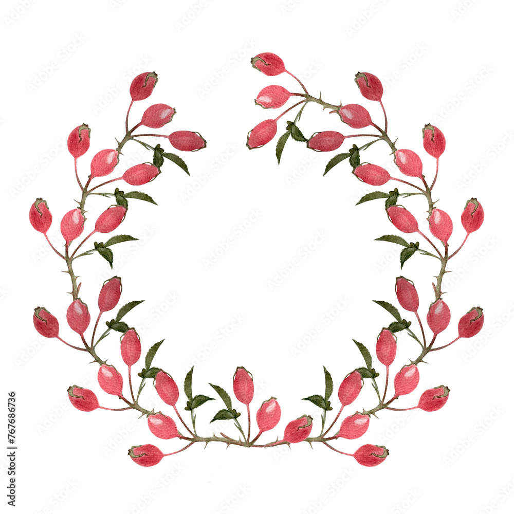 Rose-hip watercolor wreath isolated on white