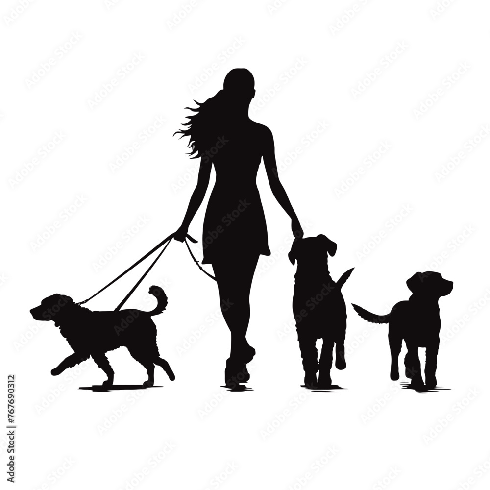 Vector silhouette of women walk with her dogs with leash on white background. Symbol of animal, pet, friends,walk. Vector silhouette of women walk with her dogs with leash on white background. Symbol of animal, pet, friends,walk.