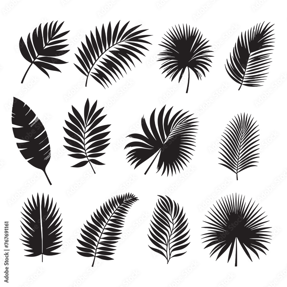 set of silhouettes of palm leaves on white set of silhouettes of palm leaves on white