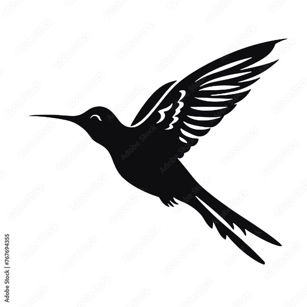 hummingbird illustration