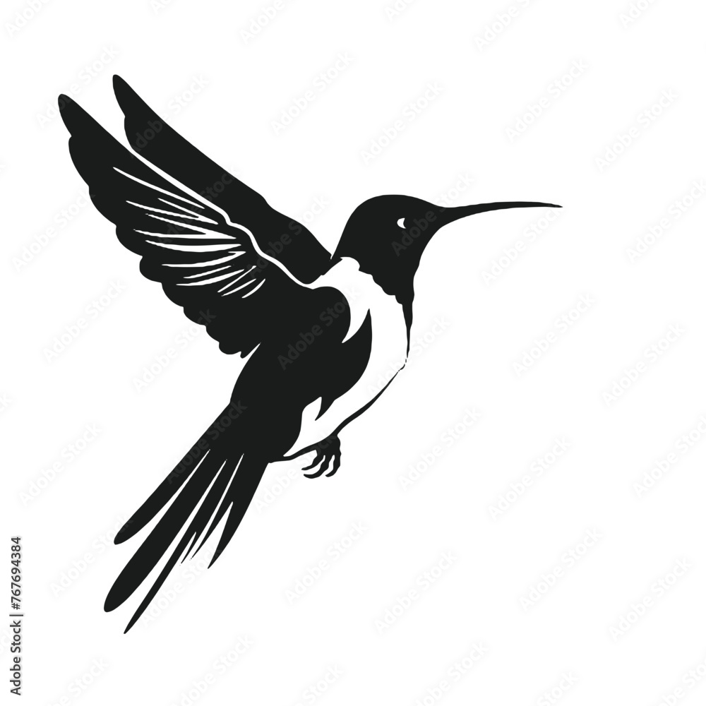 hummingbird illustration hummingbird illustration
