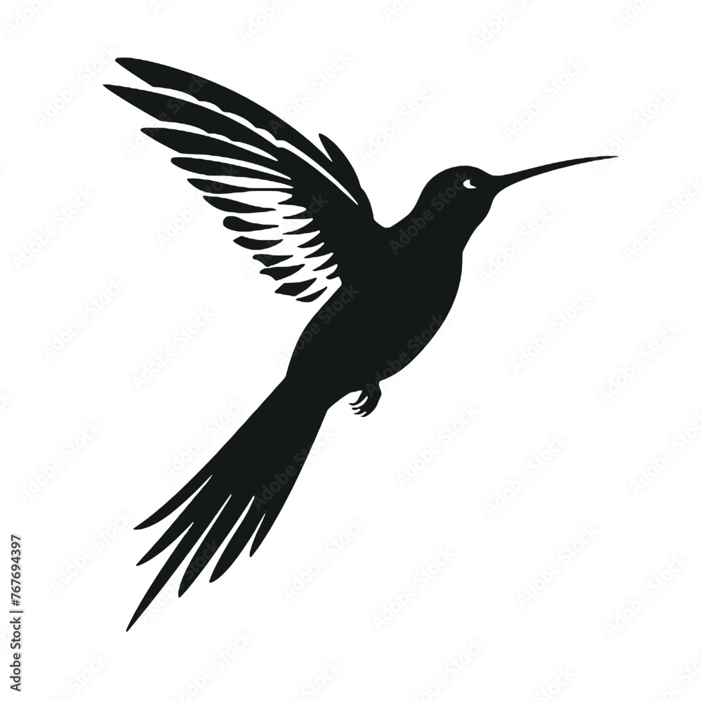 Obraz premium hummingbird illustration