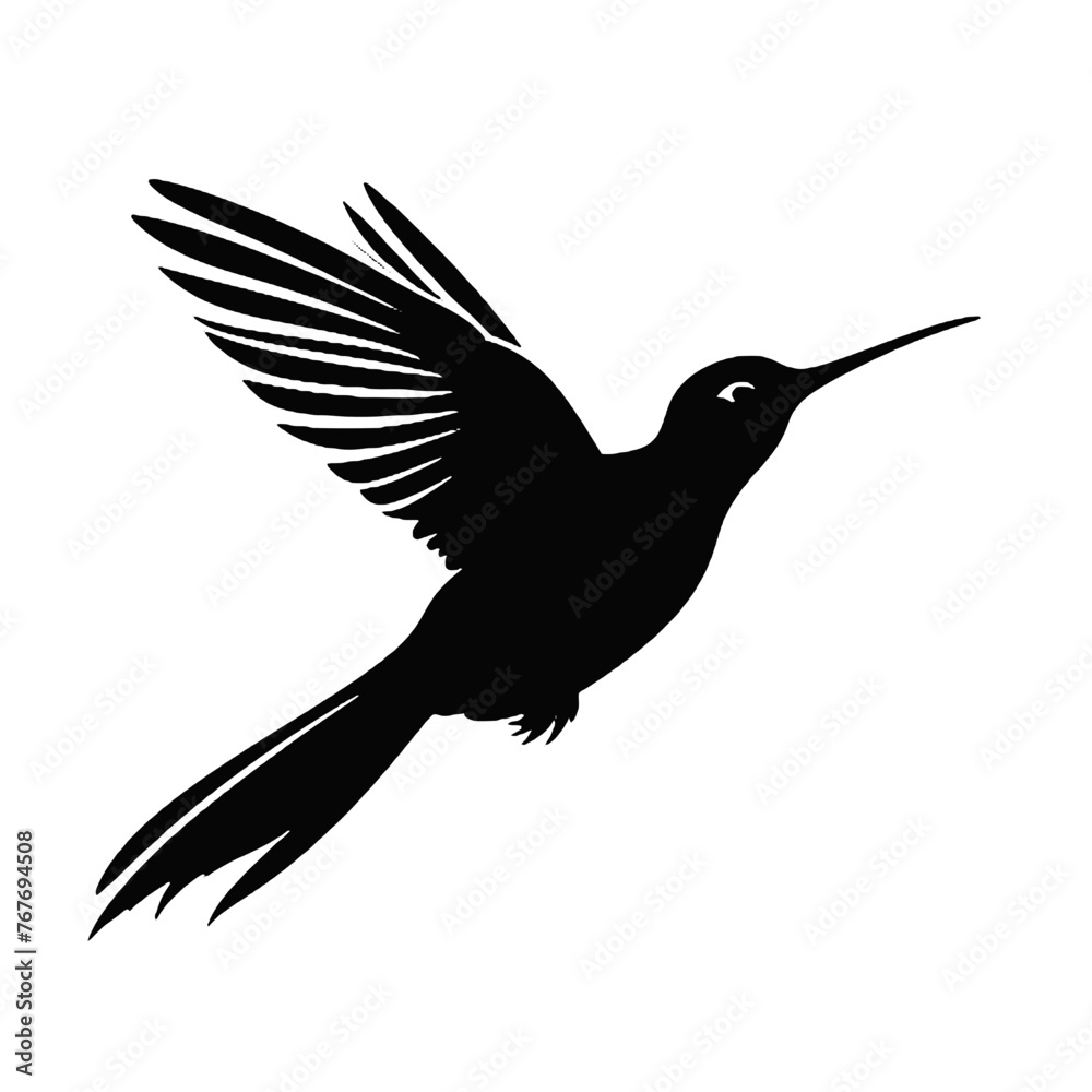 Obraz premium hummingbird illustration