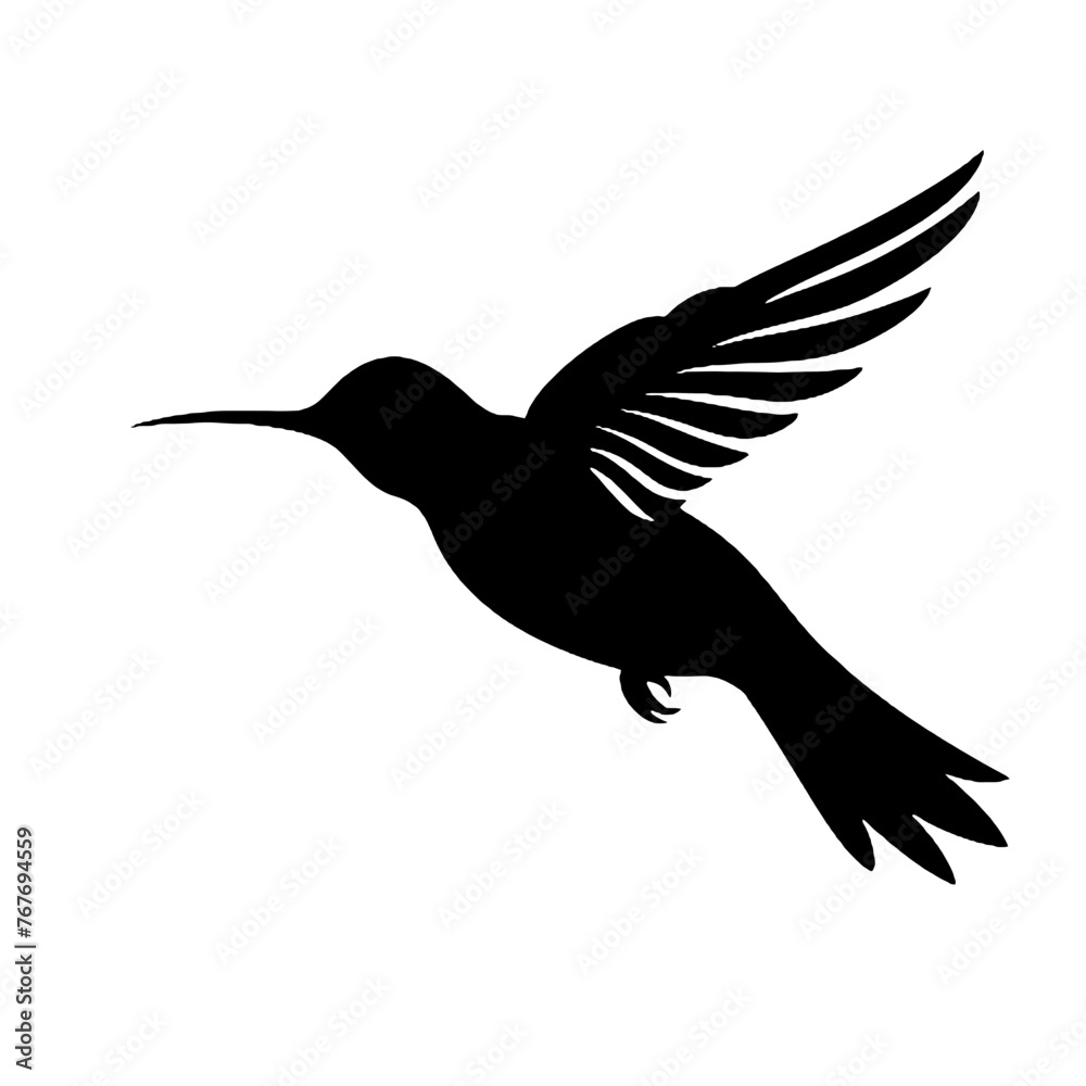 hummingbird illustration hummingbird illustration