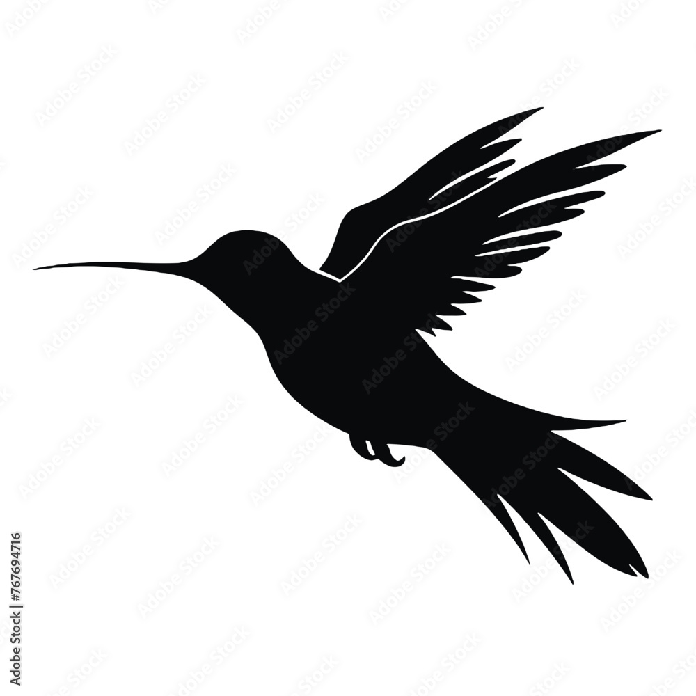 Obraz premium hummingbird Silhouette 