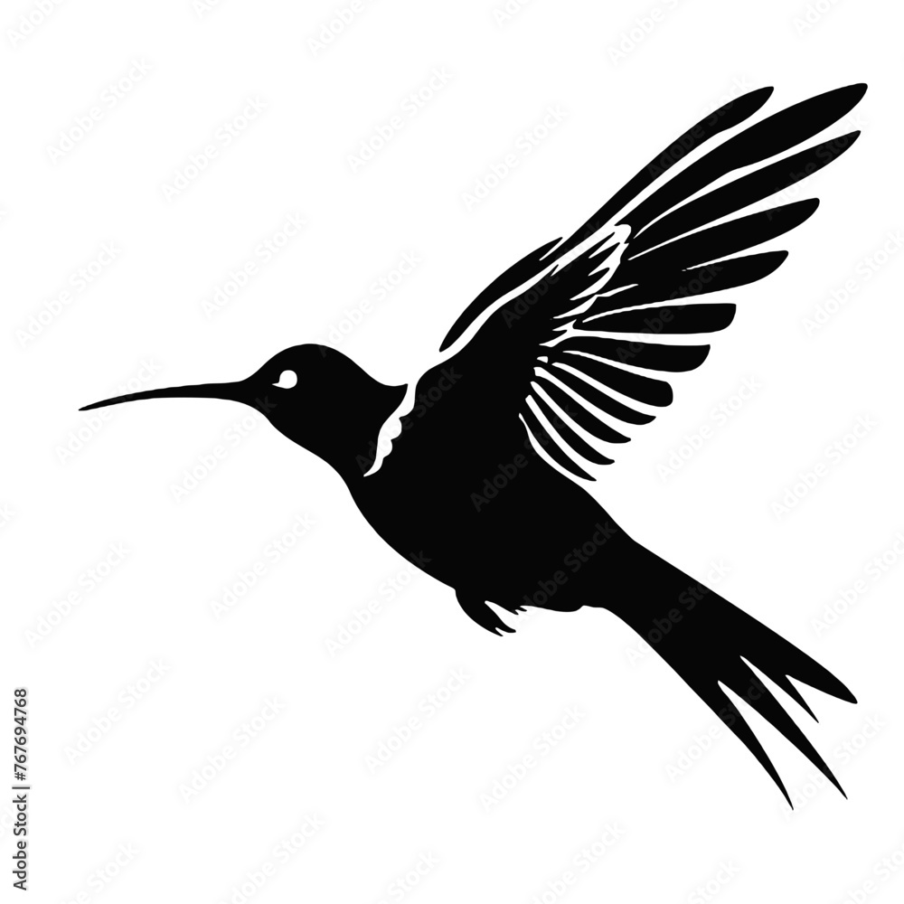 Obraz premium hummingbird Silhouette 