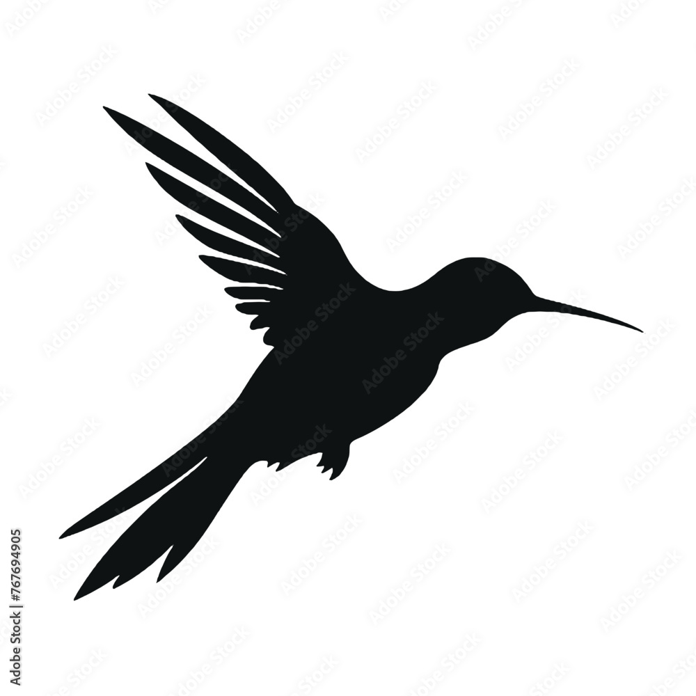Obraz premium hummingbird Silhouette 