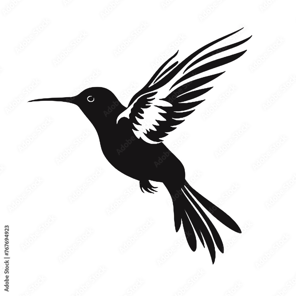 Obraz premium hummingbird Silhouette