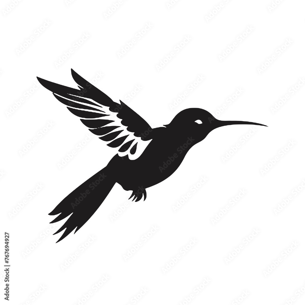 Obraz premium hummingbird Silhouette