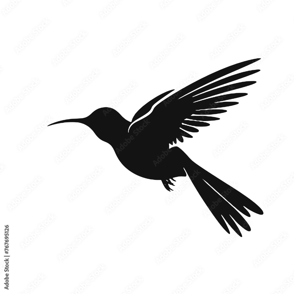 Obraz premium hummingbird Silhouette 