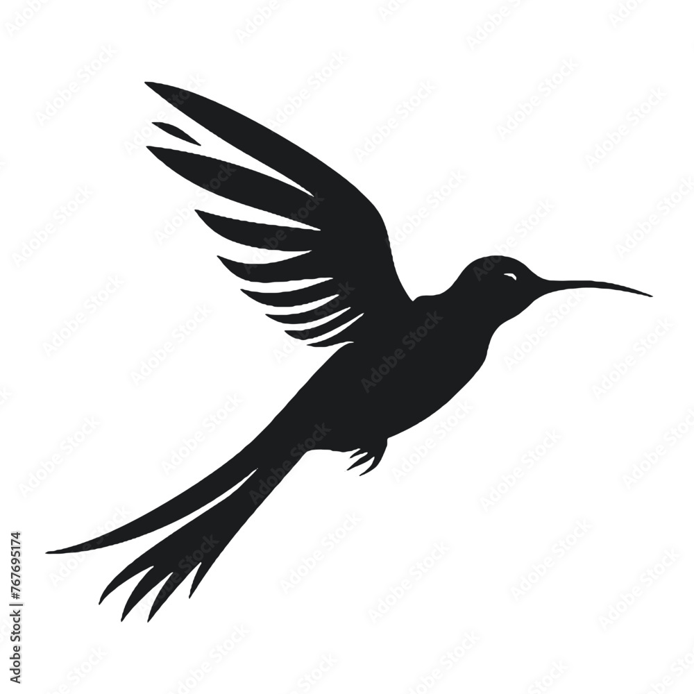 Obraz premium hummingbird Silhouette 