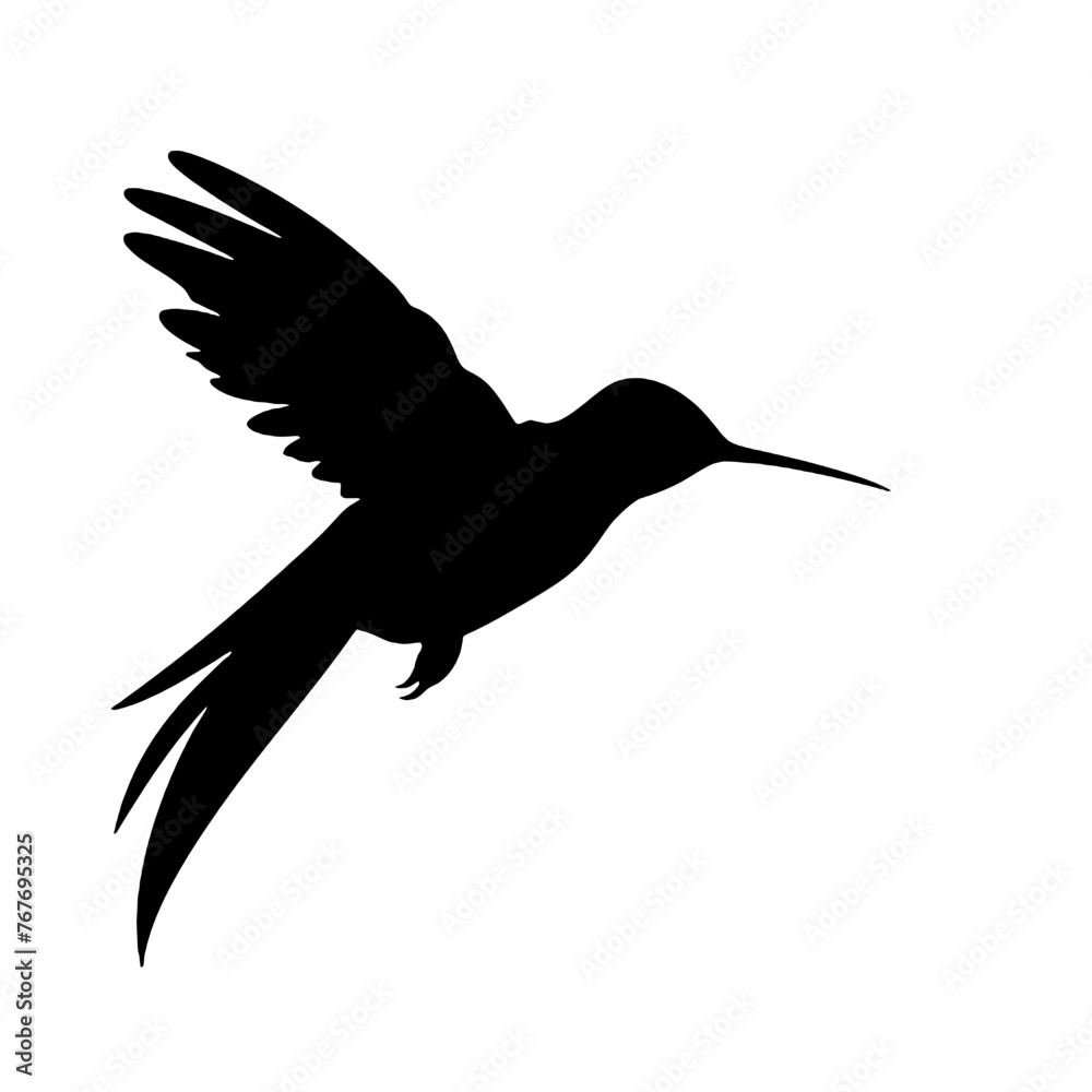 Obraz premium hummingbird Silhouette