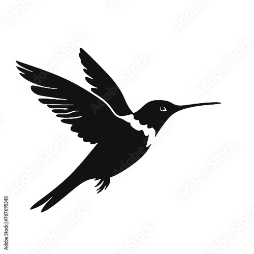 hummingbird Silhouette 