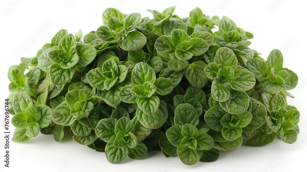 Oregano sprouts, small and potent, a burst of flavor against the simplicity of white - obrazy, fototapety, plakaty 