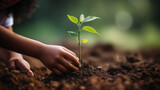 Close up of child hands planting young tree.