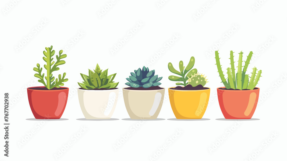 Succulents in Pots flat vector isolated on white background