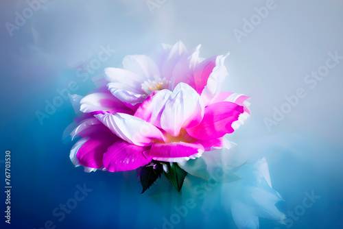  flowers in the background of white  fog  colorful flowers  soft background art   paintings