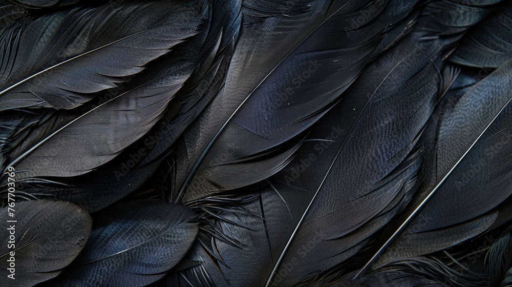 A close up of black feathers, with the focus on the intricate details of the feathers. The black color of the feathers creates a mood of darkness and mystery - obrazy, fototapety, plakaty 
