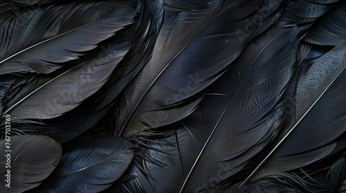 A close up of black feathers, with the focus on the intricate details of the feathers. The black color of the feathers creates a mood of darkness and mystery
