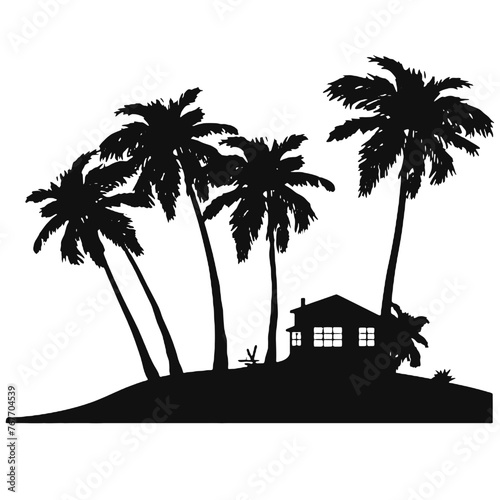 palm beach landscape