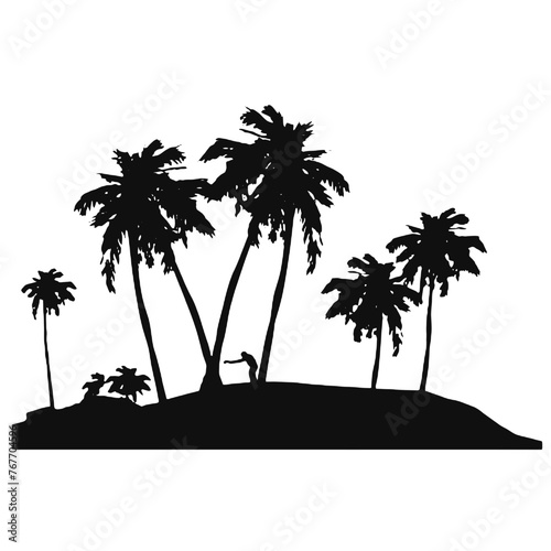 palm beach landscape