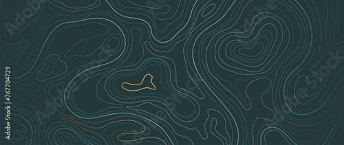 Luxury gold abstract line art background vector. Mountain topographic terrain map background with gold lines texture. Design illustration for wall art, fabric, packaging, web, banner, app, wallpaper. © TWINS DESIGN STUDIO
