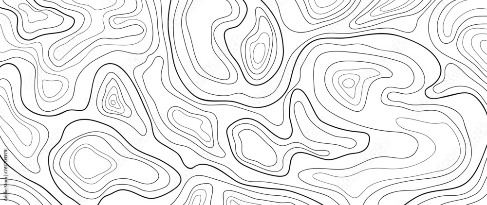 Topographic map pattern background vector. Abstract mountain terrain map background with abstract shape line texture. Design illustration for wall art, fabric, packaging, web, banner, wallpaper. - obrazy, fototapety, plakaty 