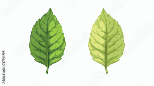 Vector of Leaf Icon. Ecology Symbol. 