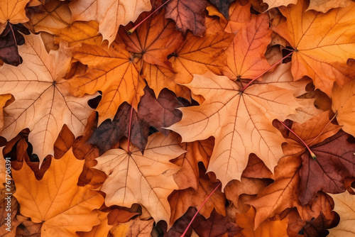 Vibrant Autumn Leaves Carpet in Warm Hues