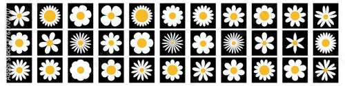 Daisy chamomile super big set. White camomile square icon. 33 sign symbol shape. Growing concept. Cute round flower plant collection. Love card. . Flat design. Isolated. Black background. Vector © worldofvector