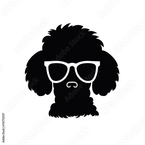 cool poodle dog wearing sunglasses