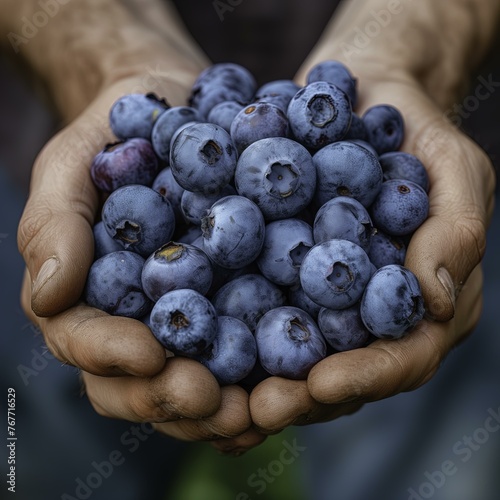 handful of blueberries