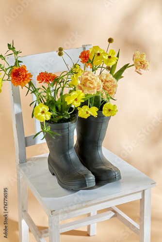 gardening, international women's day and floral design concept - flowers in rubber boots on vintage chair over beige background