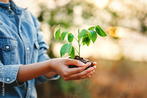 person is holding a small plant in their hand