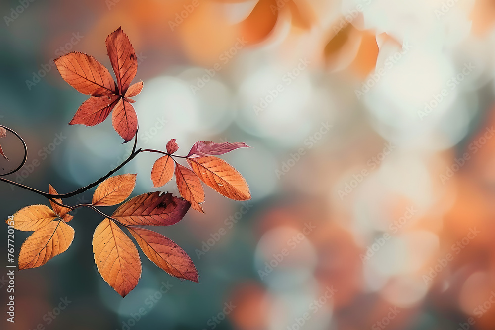 a close up of a branch and a blurry background a close up of a branch and a blurry background