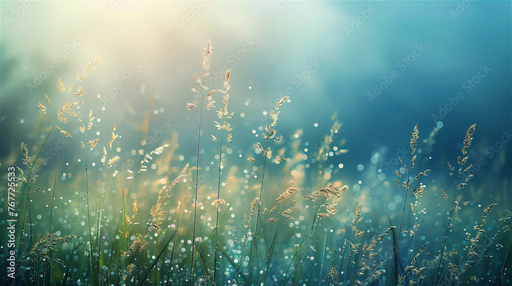 relaxing grassy field, dewy, calm energy that promotes concentration, photo